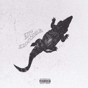 女骑士之堕落篇冷狐版攻略
