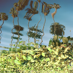 女骑士之堕落篇冷狐版攻略
