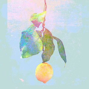 女骑士之堕落篇冷狐版攻略
